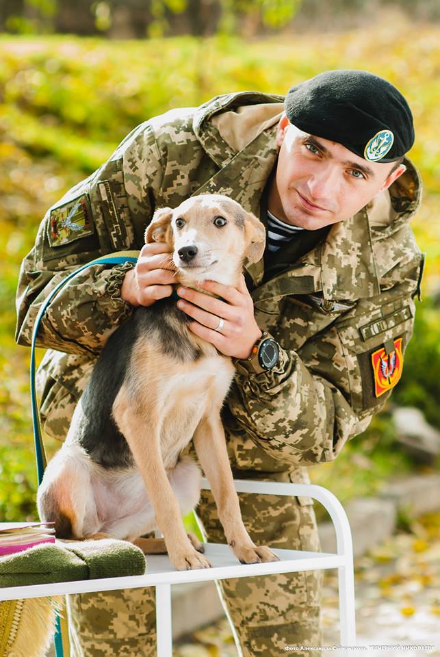Миколаївські морпіхи дали старт акції пошуку домівки безпритуальним собакам