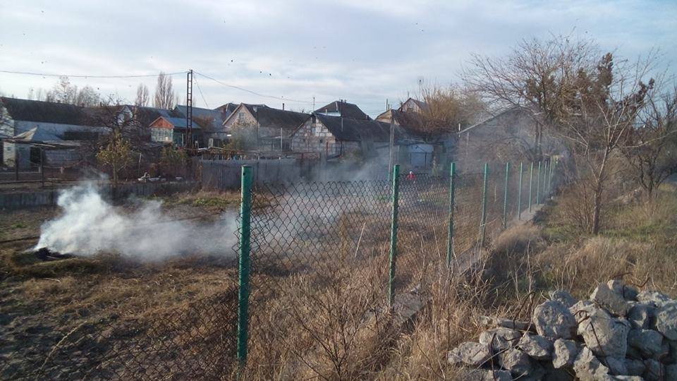 Миколаївеця побили за зауваження не спалювати листя Миколаївеця побили за зауваження не спалювати листя
