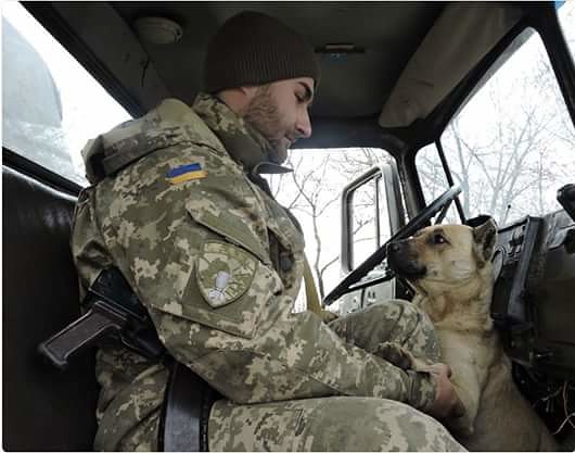 Чим займаються на Донбасі найкращі друзі бійців АТО - 10 - фото 6 Чим займаються на Донбасі найкращі друзі бійців АТО - 10 - фото 6