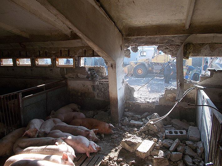 Трагедія біля Авдіївки: терористи знищили обстрілом ферму та працівника (ФОТО 18+) - фото 1
