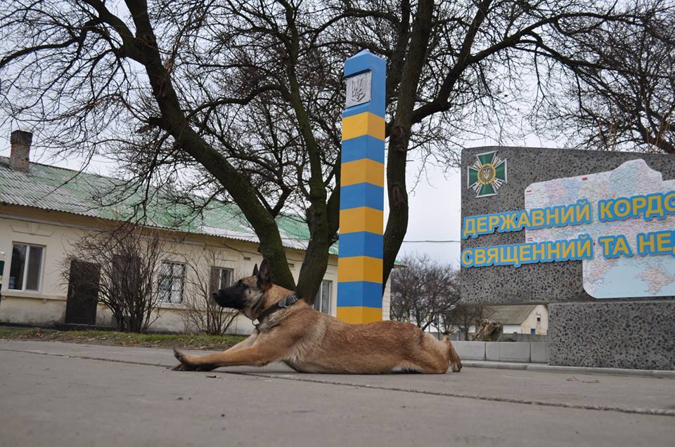 Чим займаються на Донбасі найкращі друзі бійців АТО - 10 - фото 9 Чим займаються на Донбасі найкращі друзі бійців АТО - 10 - фото 9