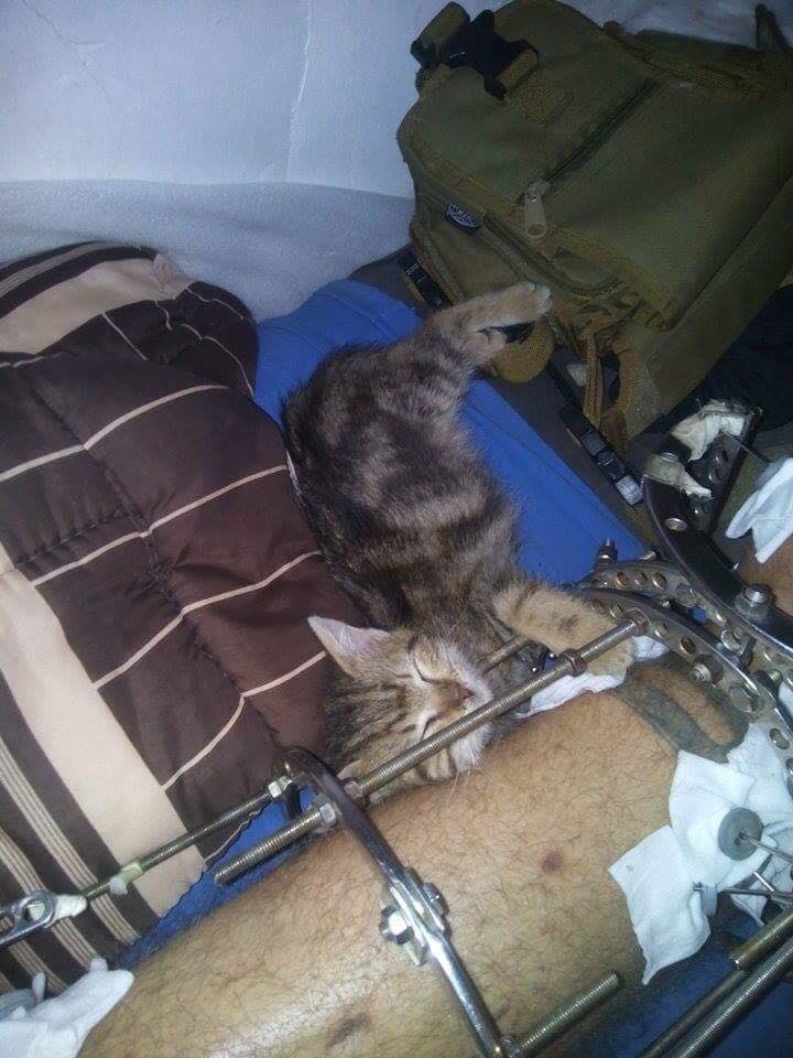 За що котам в АТО треба поставити пам'ятник-13 - фото 9 За що котам в АТО треба поставити пам'ятник-13 - фото 9