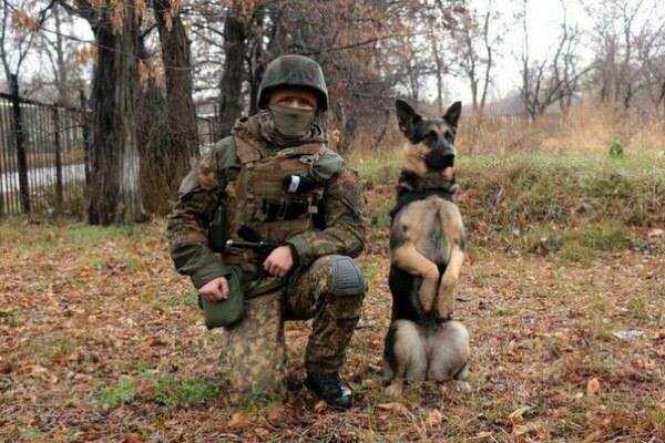 Чим займаються на Донбасі найкращі друзі бійців АТО - 10 - фото 10 Чим займаються на Донбасі найкращі друзі бійців АТО - 10 - фото 10