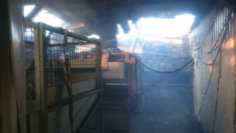 На Вінниччині у фермера заживо згоріли понад 100 кролів  - фото 3