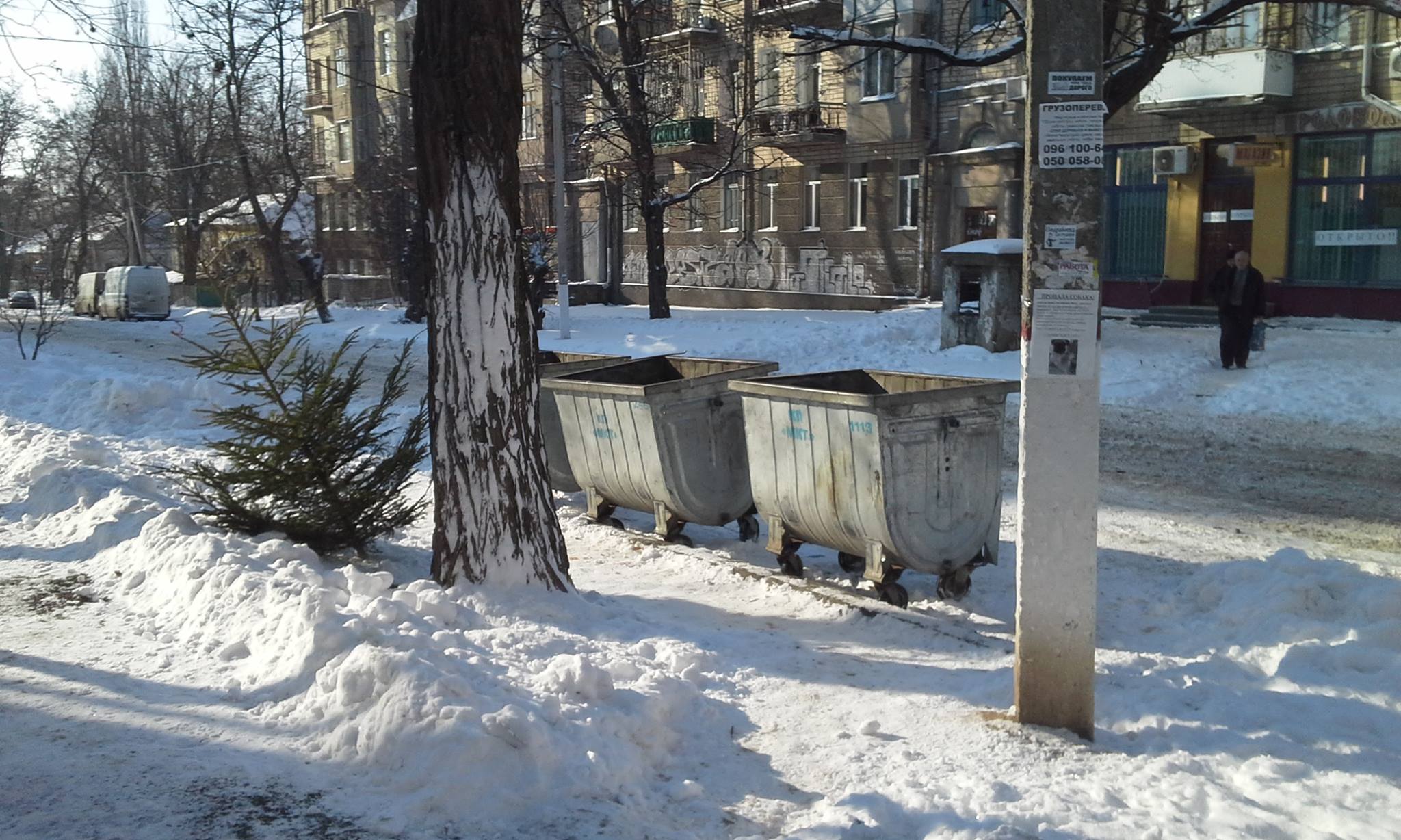Миколаївці почали "прикрашати" смітники ялинками