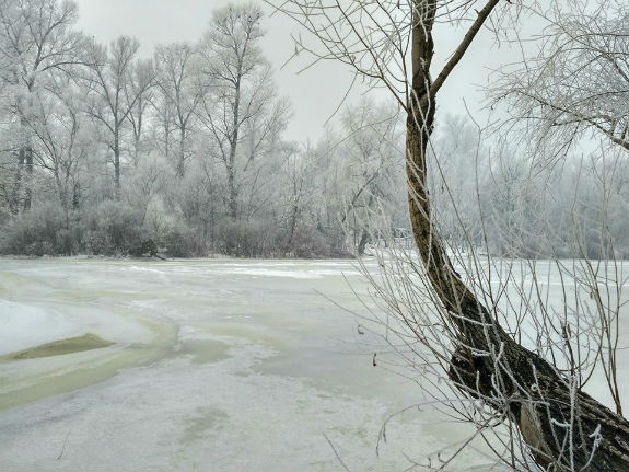 Зимовий Гідропарк вразив киян своєю чарівною красою  - фото 3