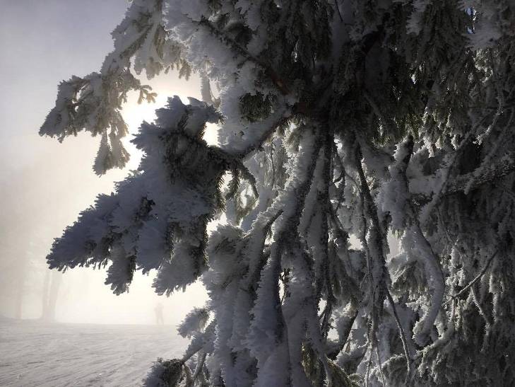 Якою по-доброму пафосно красивою буває зима у Карпатах навіть без фільтрів - фото 6
