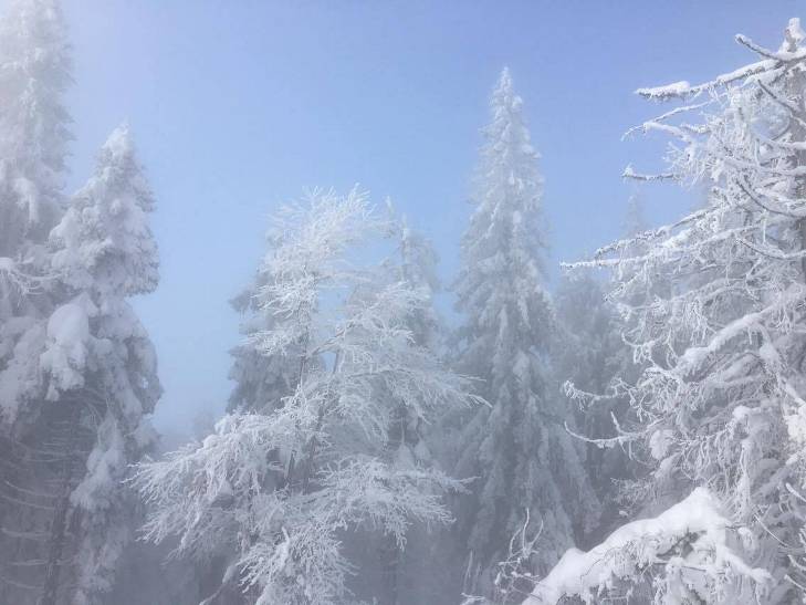 Якою по-доброму пафосно красивою буває зима у Карпатах навіть без фільтрів - фото 3