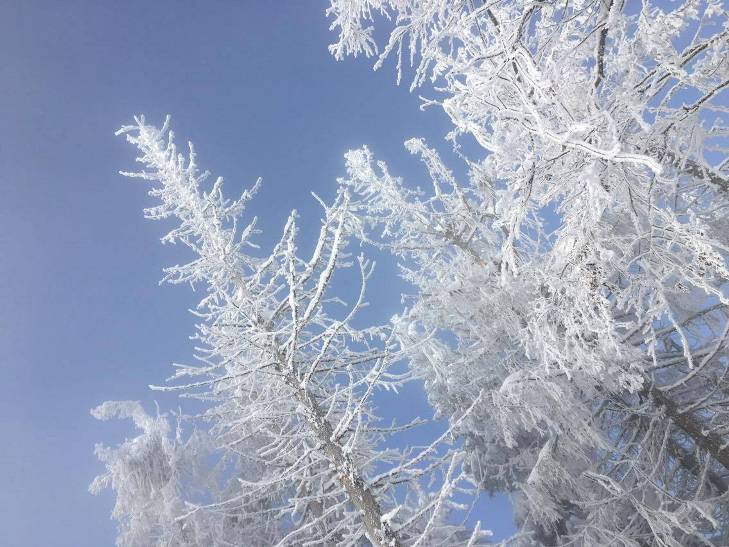 Якою по-доброму пафосно красивою буває зима у Карпатах навіть без фільтрів - фото 1