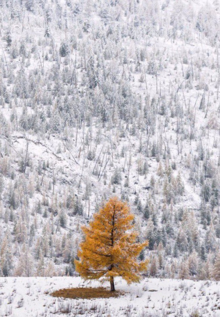 30 фото про те, що зима творить дива крутіші за фотошоп - фото 3