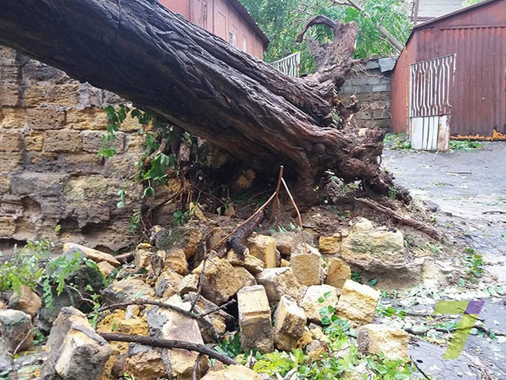 В Одесі дерево впало та зламало балкон в одному з будинків (ФОТО) - фото 1