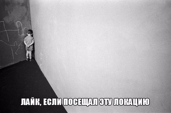 Депутатська зарплата та не справжня Надія Савченко - фото 16