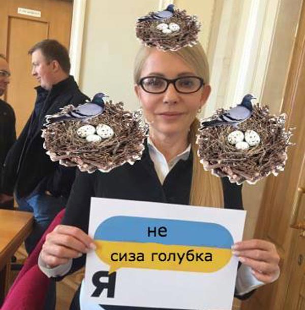 Як вкрали задекларовані вили Ляшка та сиза голубка Юлія Тимошенко - фото 9
