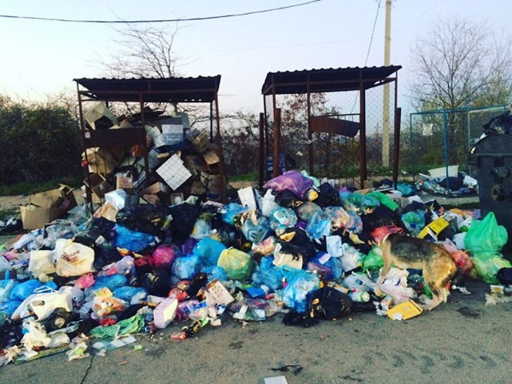 Окупований Севастополь тоне у смітті - фото 2