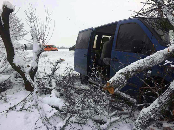 На Донеччині мікроавтобус збив мати з донькою, жінка загинула - фото 2