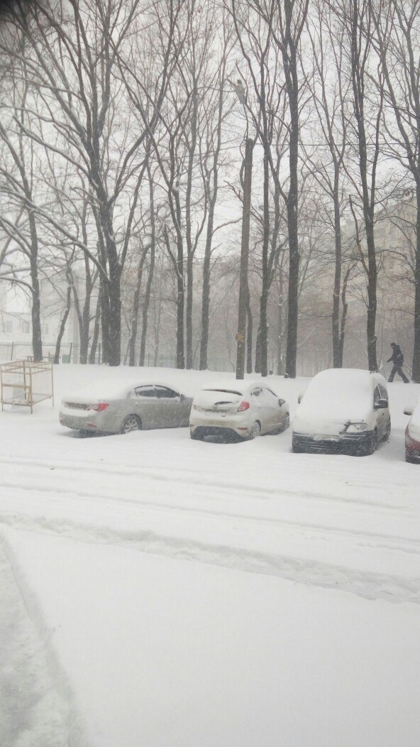 Харків засипало снігом: мешканці міста скаржаться на комунальників (ФОТО)  - фото 6