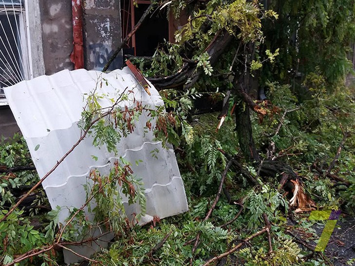 В Одесі дерево впало та зламало балкон в одному з будинків (ФОТО) - фото 2