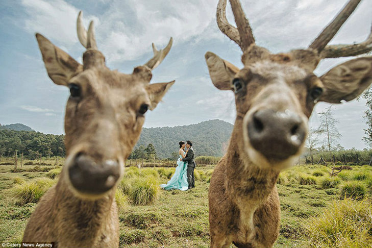 30 прикладів, коли у весільного фотографа все добре з почуттям гумору - фото 30