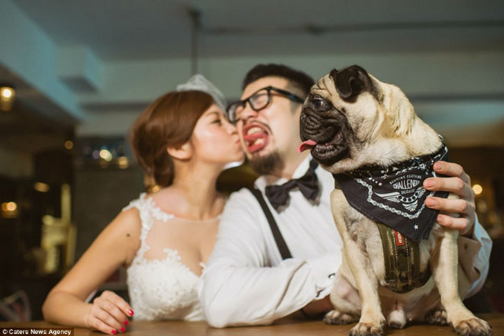 30 прикладів, коли у весільного фотографа все добре з почуттям гумору - фото 22