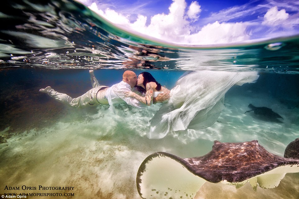 Неймовірні весільні фото під водою, через які хочеться затамувати подих - фото 6