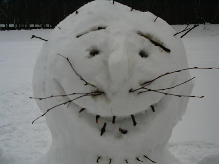 Мистецтво "сніготворення", або Коли сніговик стає вибухом креативу  - фото 1