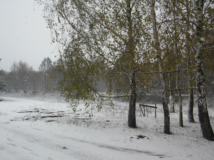 На Чернігівщині випав перший сніг, Сумщина наступна  - фото 4