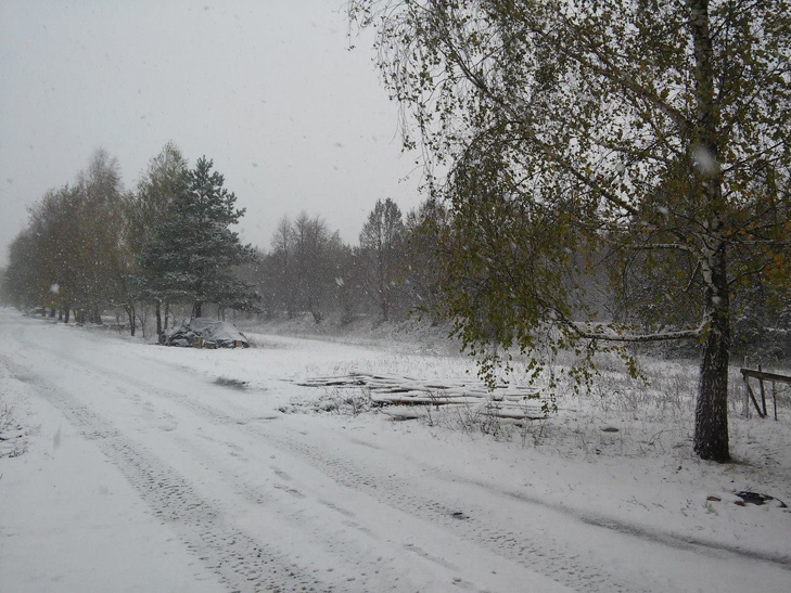 На Чернігівщині випав перший сніг, Сумщина наступна  - фото 3