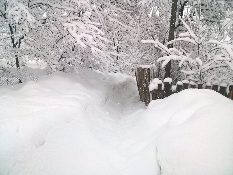 Як триметровий сніг перетворив закарпатську глибинку у "зачарований" край - фото 3