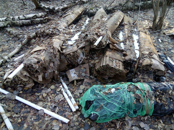 У лісі під Києвом знайшли незаконне звалище ламп з ртуттю  - фото 2