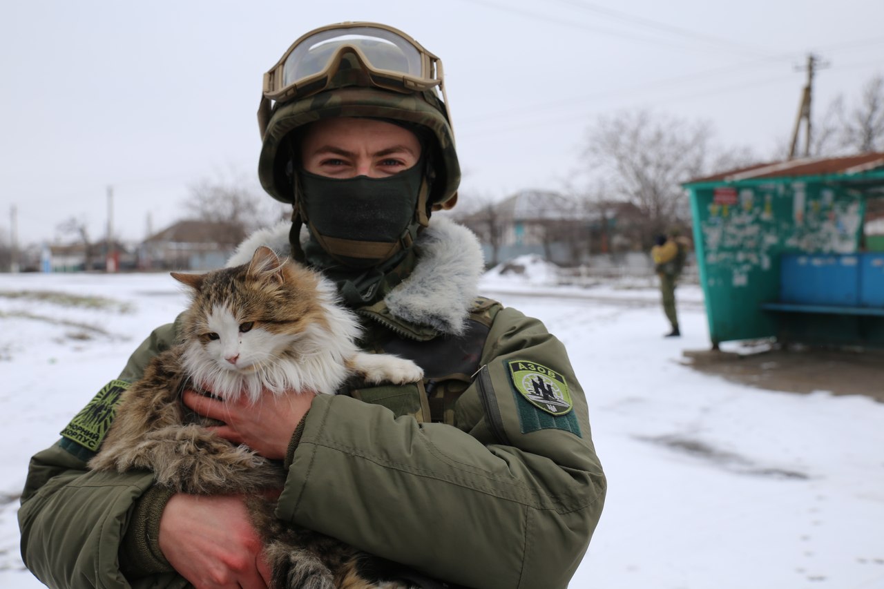 За що котам в АТО треба поставити пам'ятник-13 - фото 3 За що котам в АТО треба поставити пам'ятник-13 - фото 3