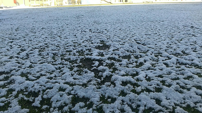 Як виглядає поле стадіону в Запоріжжі перед матчем "Зірка" - "Олександрія" - фото 4