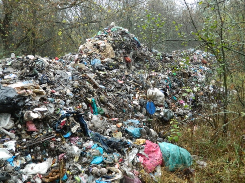 Львівське сміття нишком скидають в заповіднику на Житомирщині - фото 2