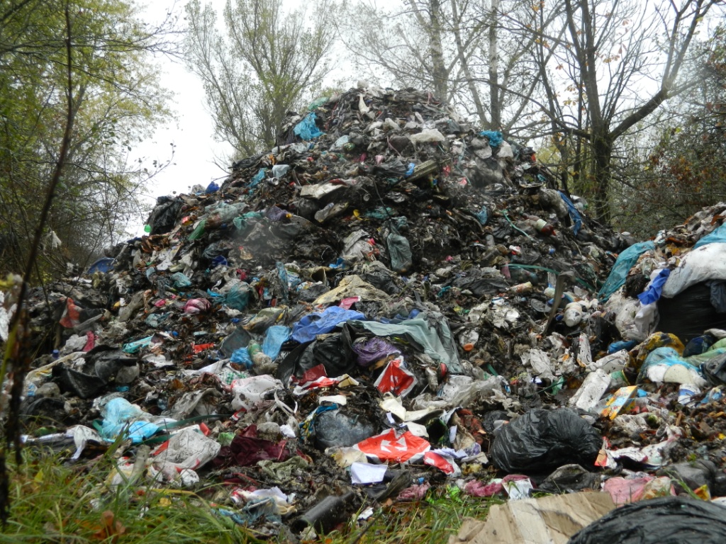 Львівське сміття нишком скидають в заповіднику на Житомирщині - фото 1