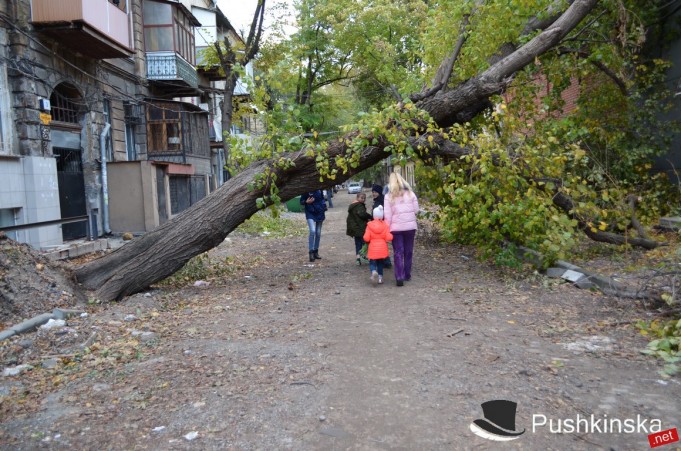 Дерева після одеського урагану "недовбирали": одеситів наражають на небезпеку (ФОТО) - фото 1