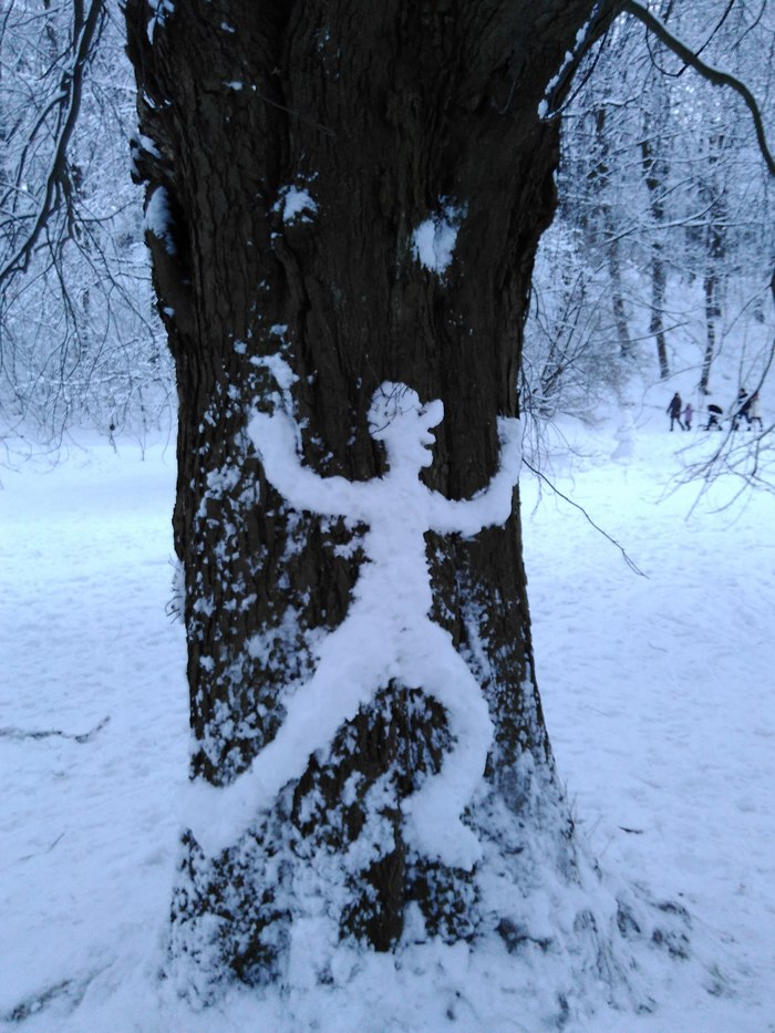 Львів’янину вдалося сфотографувати Снігову Людину (ФОТО) - фото 1