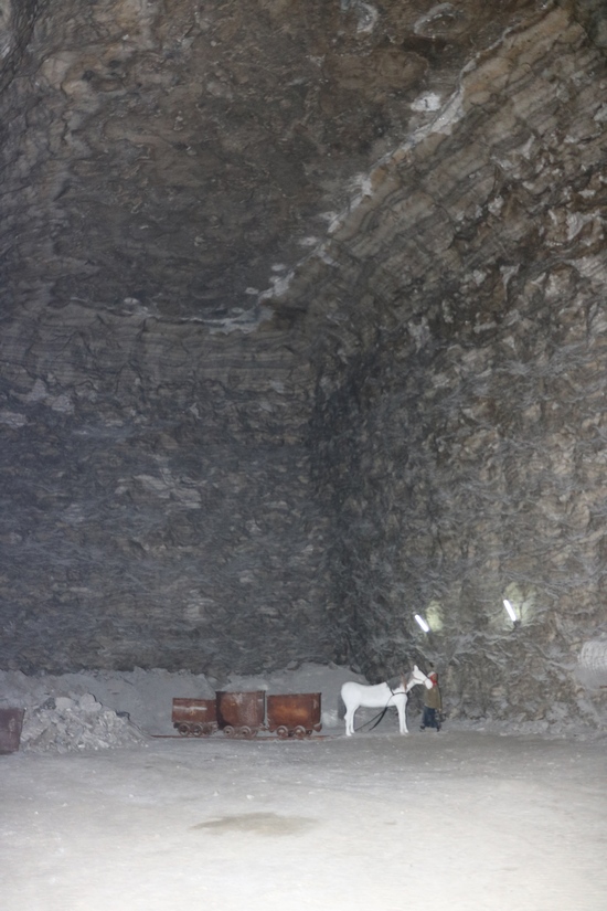 Соляні шахти Бахмута: Які таємниці залишило прадавнє море Донбасу (ФОТО) - фото 9