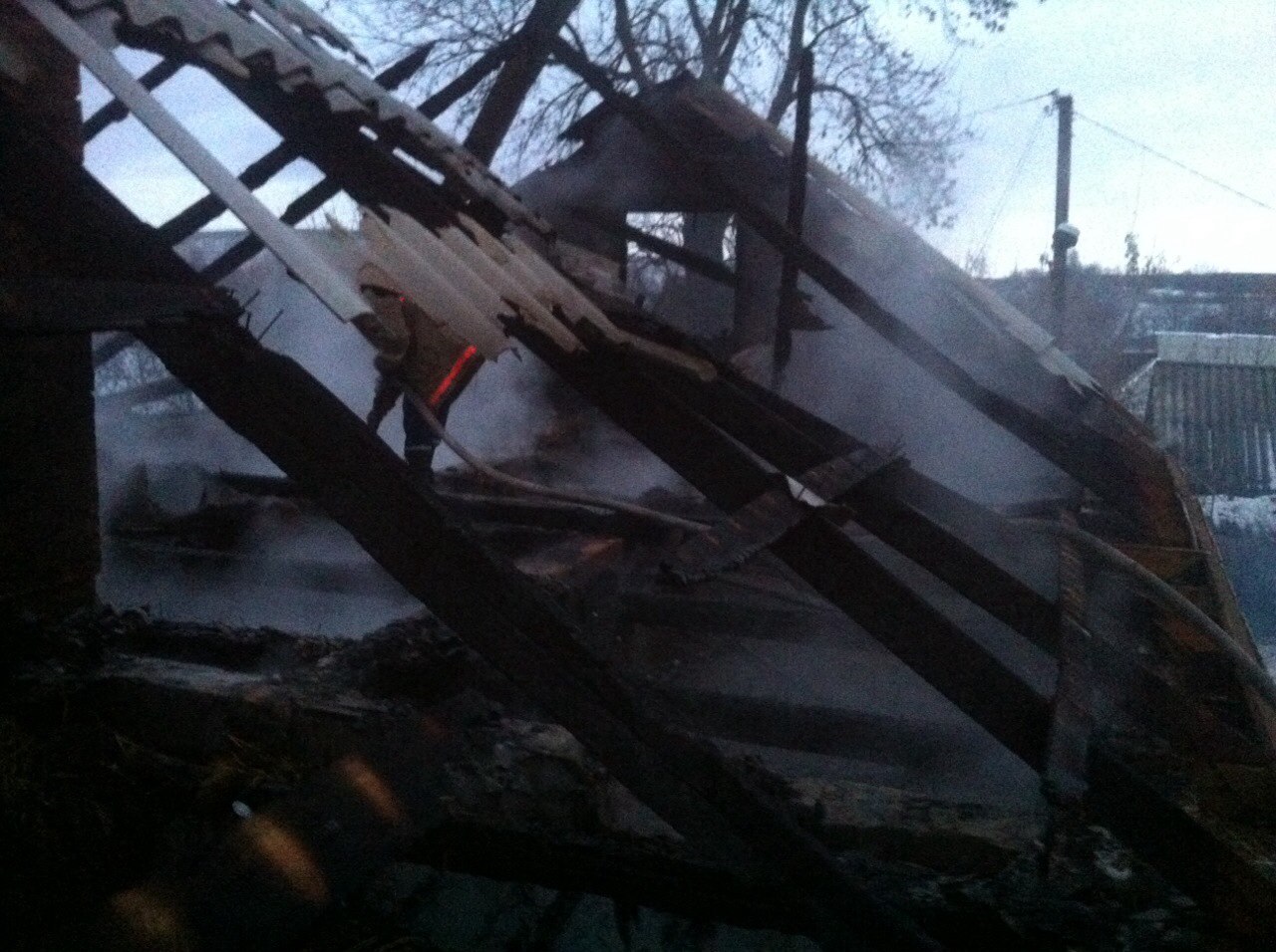На Вінниччині в сільському дворі згоріли хата, хлів, корови і свині - фото 2