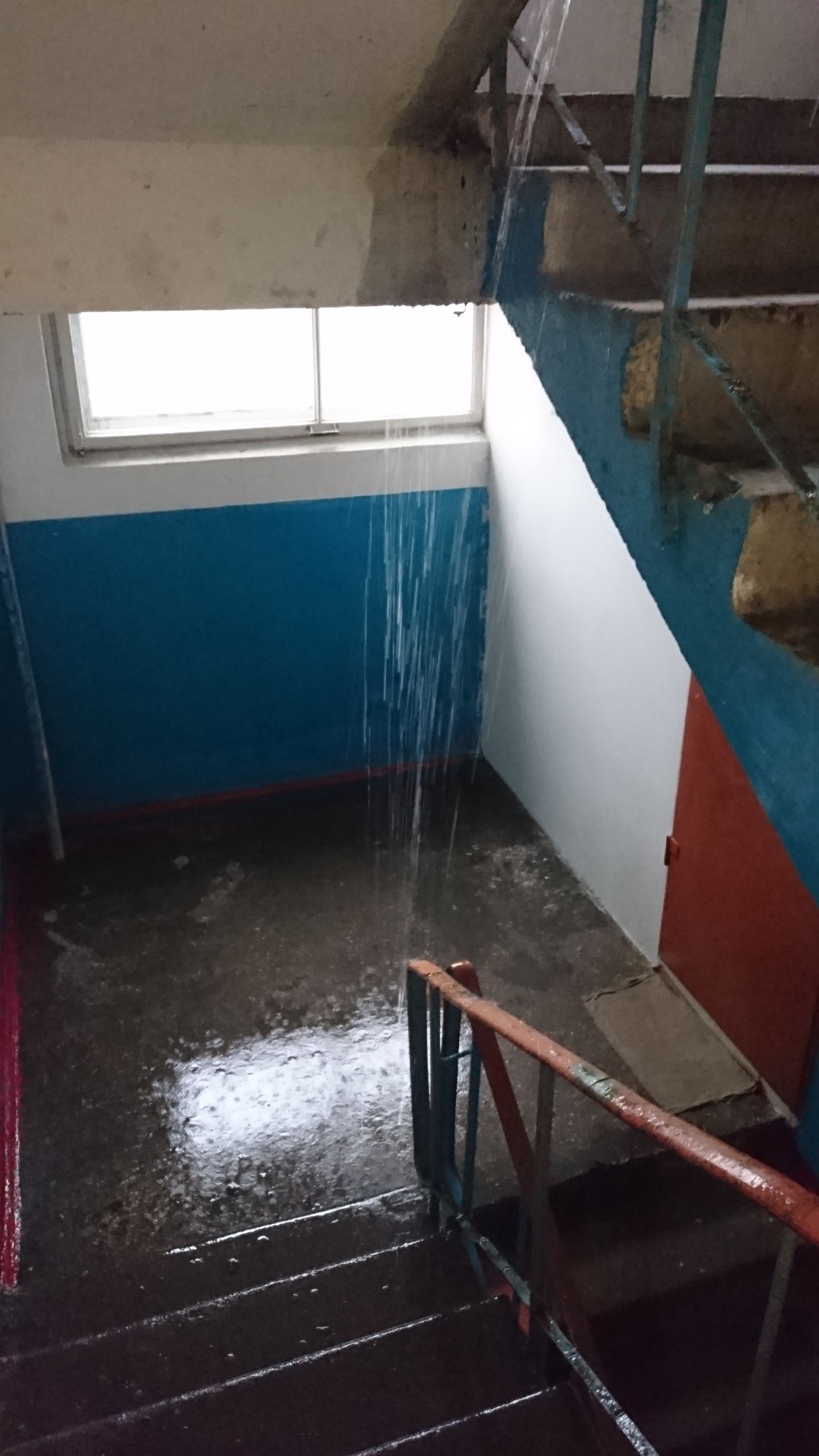 Миколаївську багатоповерхівку затоплює дощем: ЖЕК не реагує