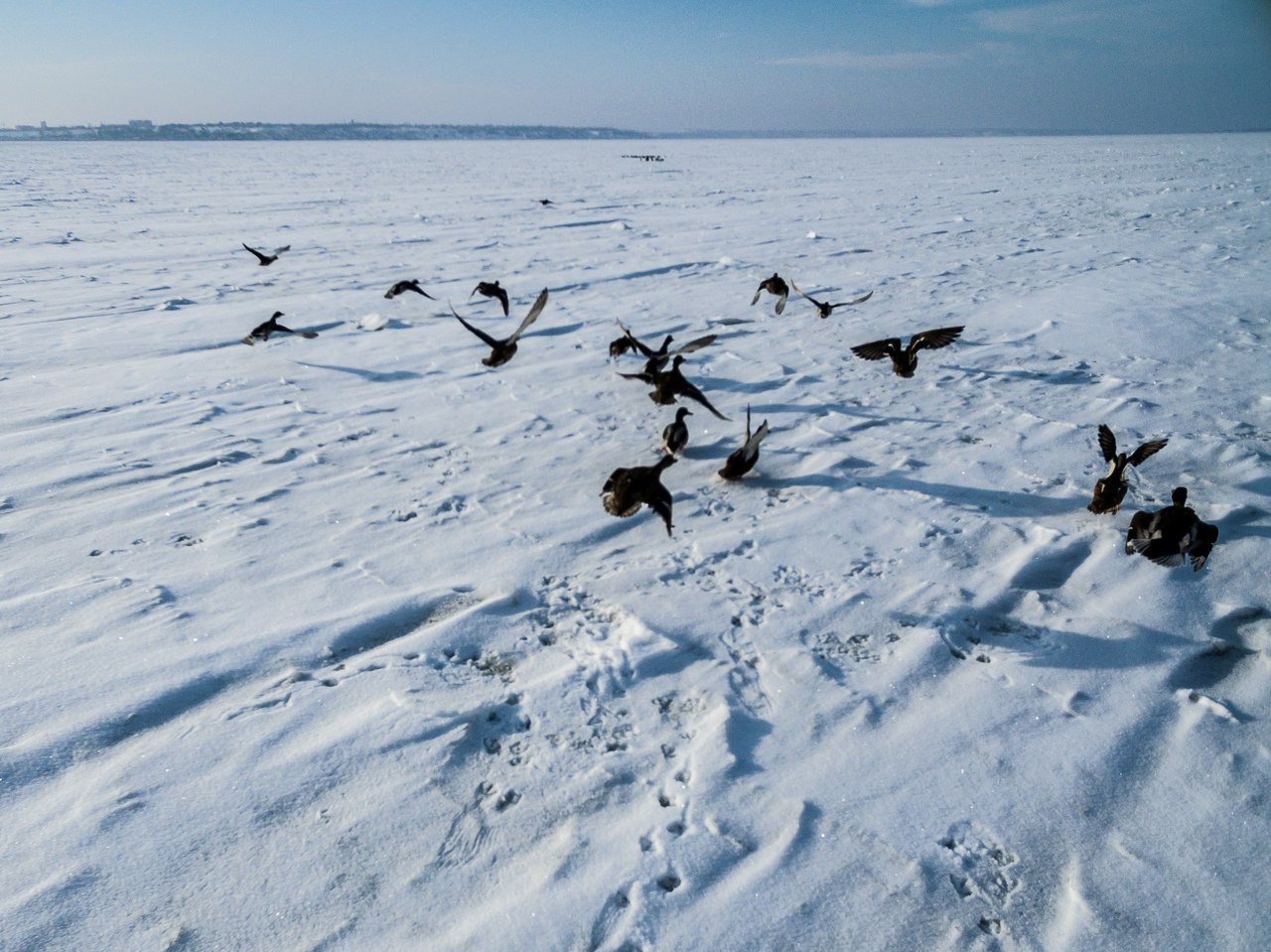 Неймовірну красу замерзлого Хаджибейського лиману показали з висоти птахів (ФОТО) - фото 3
