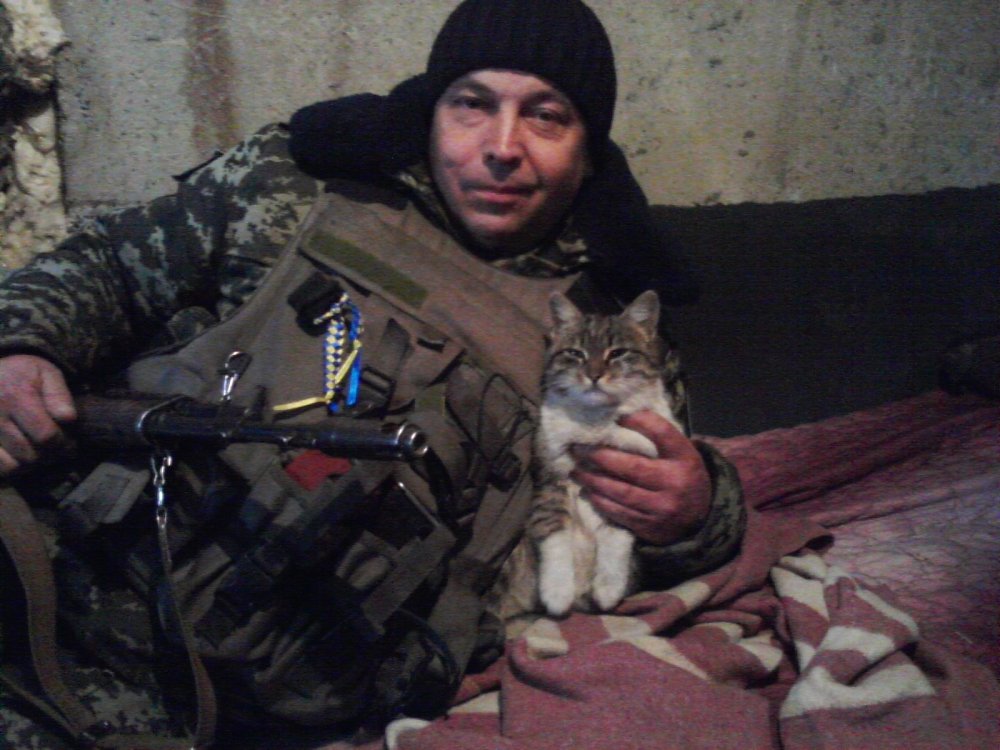 За що котам в АТО треба поставити пам'ятник-13 - фото 1 За що котам в АТО треба поставити пам'ятник-13 - фото 1