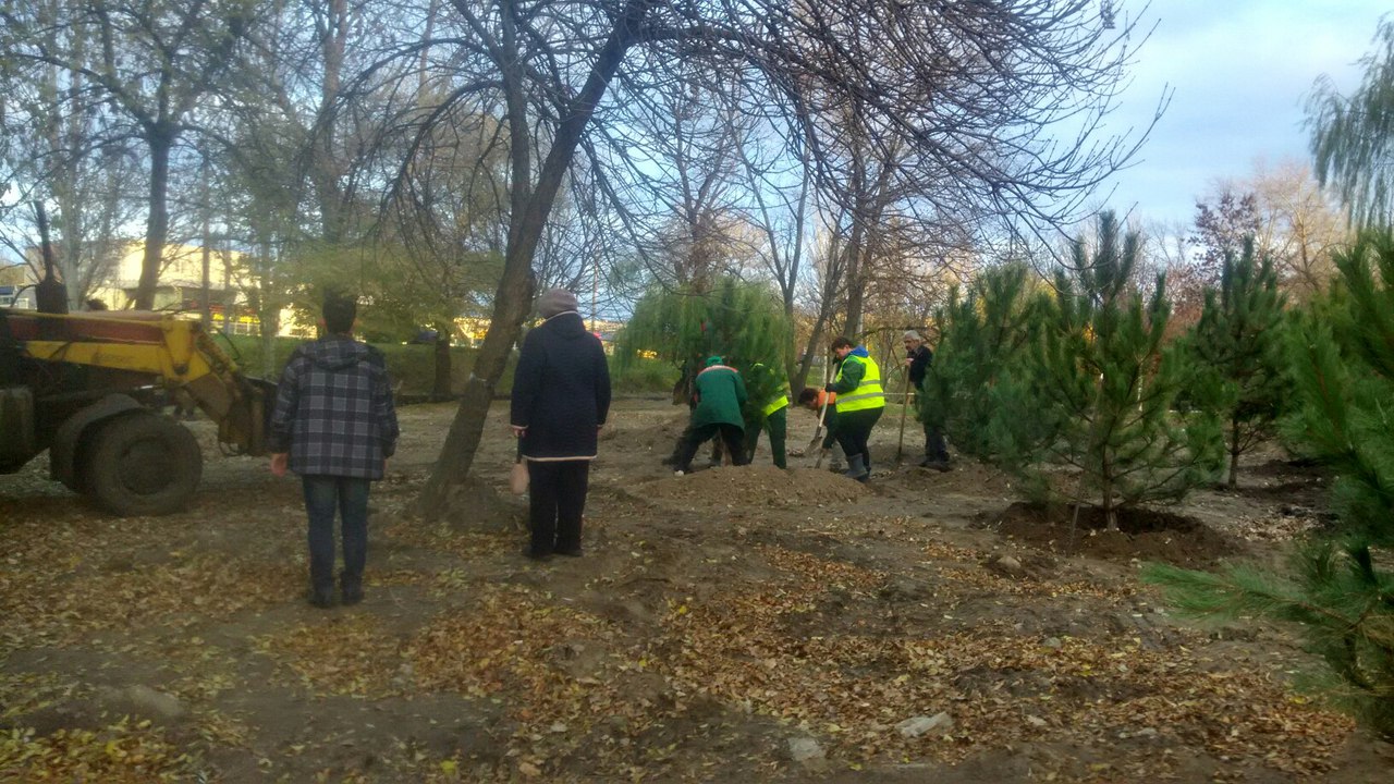 У головному парку Запоріжжя висадили понад сотню дубів та сосен - фото 2