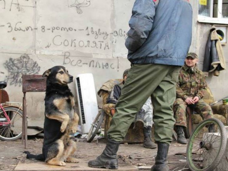 Чим займаються на Донбасі найкращі друзі бійців АТО - 10 - фото 8