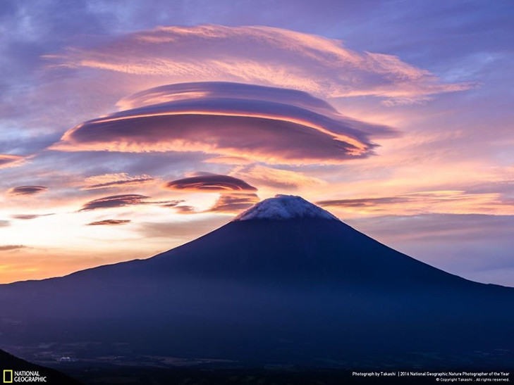  Роботи фіналістів конкурсу National Geographic "Кращий фотограф природи 2016" - фото 16