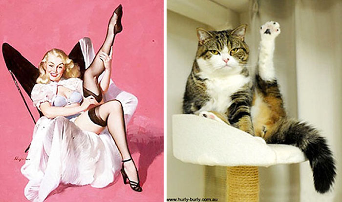 Як коти склали конкуренцію пін-ан моделям  - фото 9