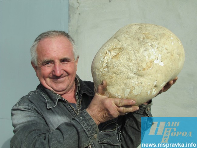На Запоріжжі знайшли шестикілограмовий гриб-гігант - фото 1