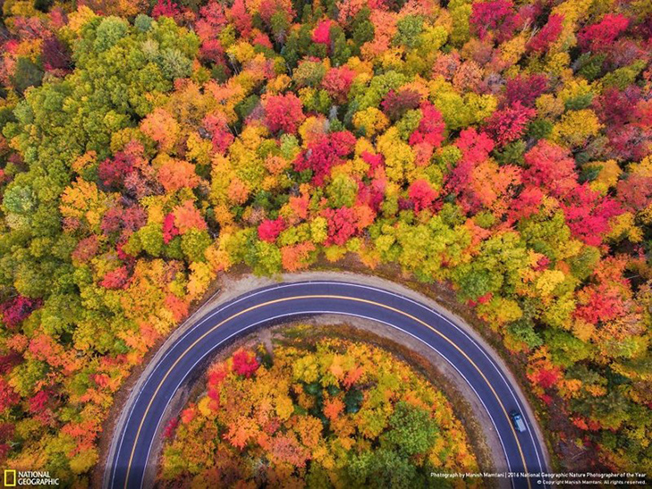  Роботи фіналістів конкурсу National Geographic "Кращий фотограф природи 2016" - фото 11