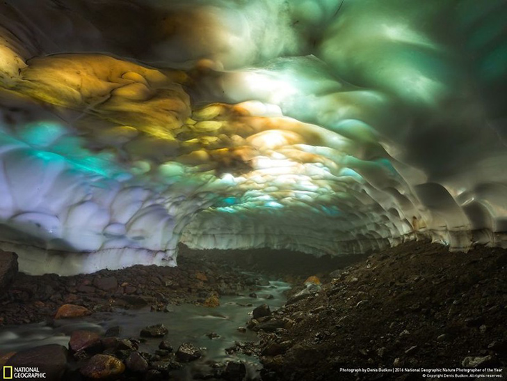  Роботи фіналістів конкурсу National Geographic "Кращий фотограф природи 2016" - фото 8