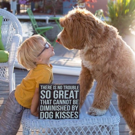 Як усиновлений хлопчик і пес з притулку стали кращими друзями - фото 7