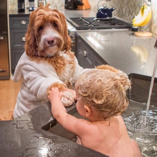 Як усиновлений хлопчик і пес з притулку стали кращими друзями - фото 6