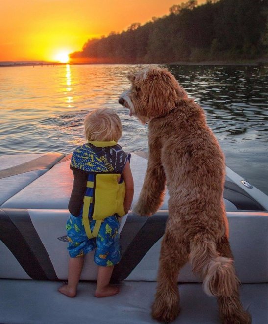 Як усиновлений хлопчик і пес з притулку стали кращими друзями - фото 3